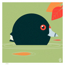 Load image into Gallery viewer, American Coot 4x4 Limited Edition Print
