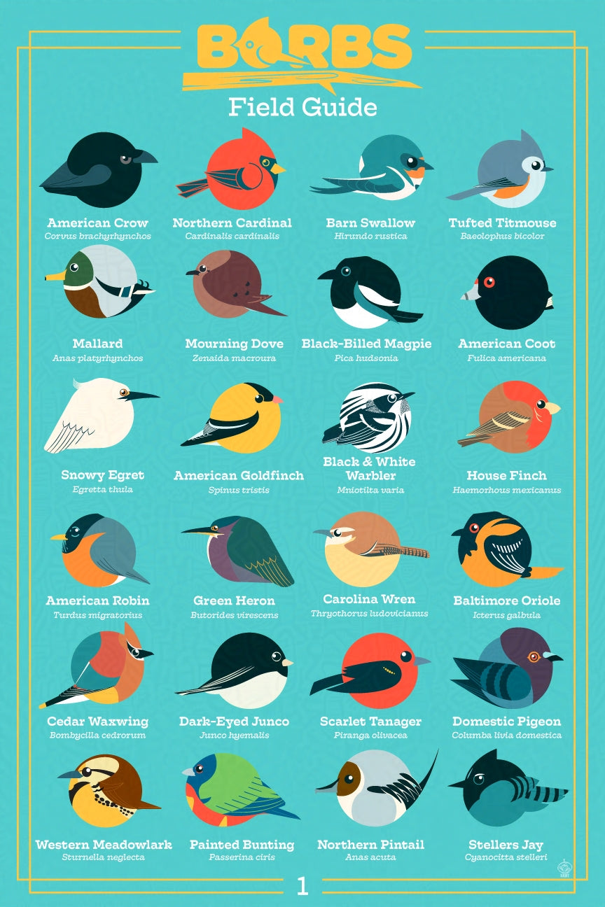 BORBs Field Guide Vol. 1 - 12x18 Art Print