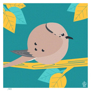 Barbary Dove 4x4 Limited Edition Art Print