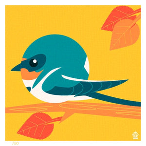 Barn Swallow 4x4 Limited Edition Print