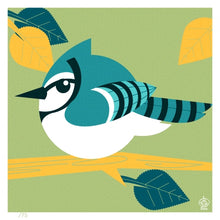 Load image into Gallery viewer, Blue Jay 4x4 Limited Edition Giclee Print
