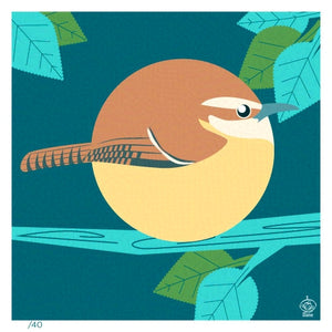 Carolina Wren 4x4 Limited Edition Print