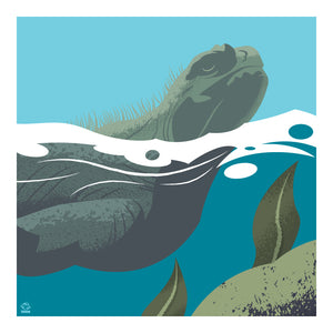 Marine Iguana “Keep Your Head Up” 10x10 Giclee Art Print