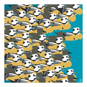 Eiders 10x10 Limited Edition Print