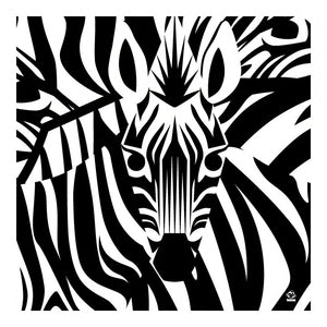 Zebra 10x10 Limited Edition Giclee Print